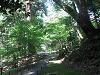 camp24 (124)_samu.gif